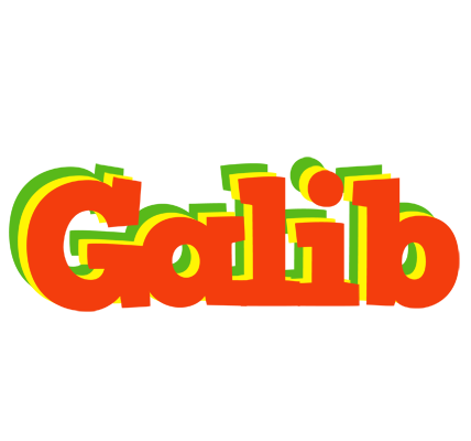 Galib bbq logo