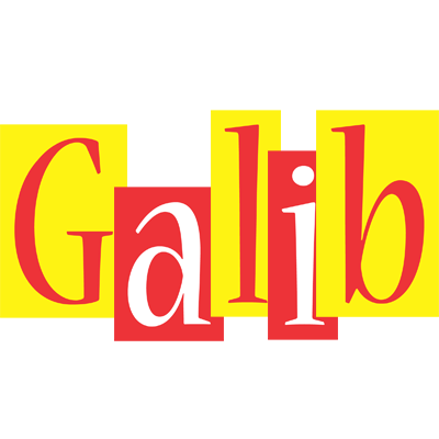 Galib errors logo