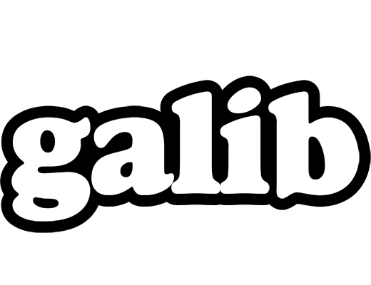 Galib panda logo