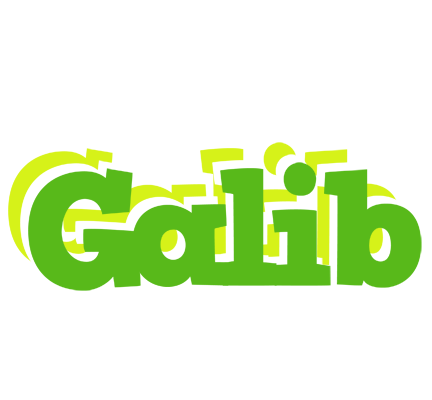 Galib picnic logo
