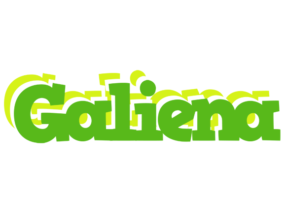 Galiena picnic logo