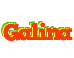 Galina bbq logo