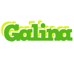 Galina picnic logo