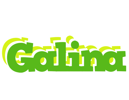 Galina picnic logo