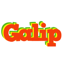 Galip bbq logo
