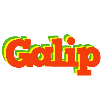 Galip bbq logo