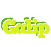 Galip citrus logo