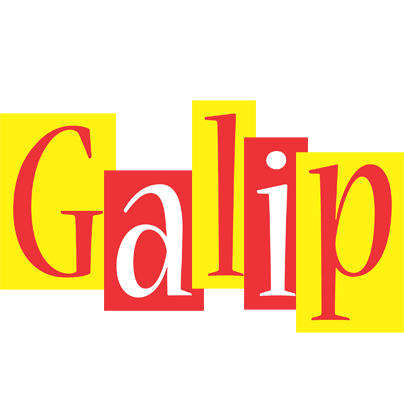 Galip errors logo