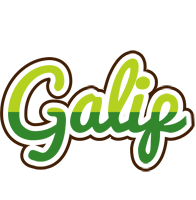 Galip golfing logo
