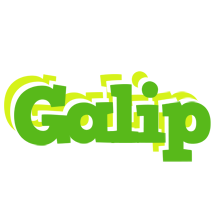 Galip picnic logo