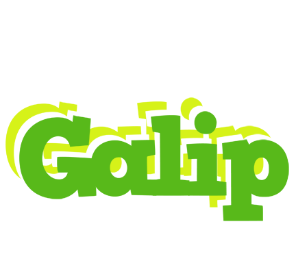 Galip picnic logo
