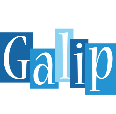 Galip winter logo