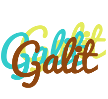 Galit cupcake logo