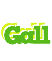 Gall picnic logo