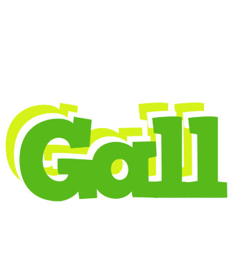 Gall picnic logo