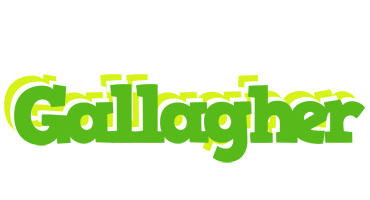 Gallagher picnic logo