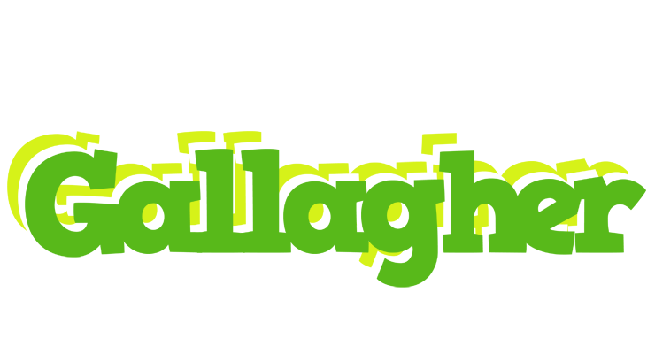 Gallagher picnic logo