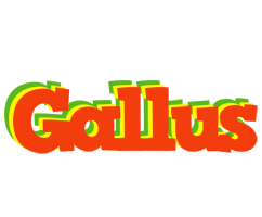 Gallus bbq logo