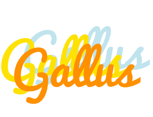 Gallus energy logo