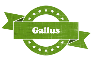 Gallus natural logo