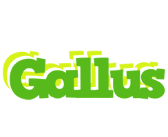 Gallus picnic logo