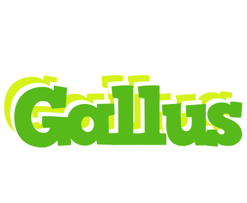 Gallus picnic logo