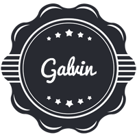 Galvin badge logo