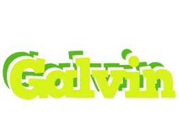 Galvin citrus logo