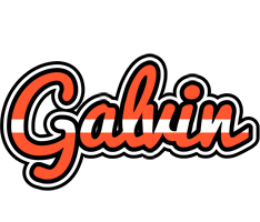 Galvin denmark logo