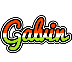 Galvin exotic logo