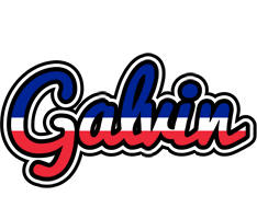 Galvin france logo