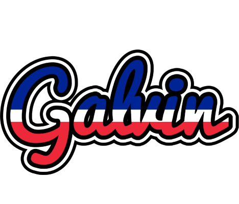 Galvin france logo