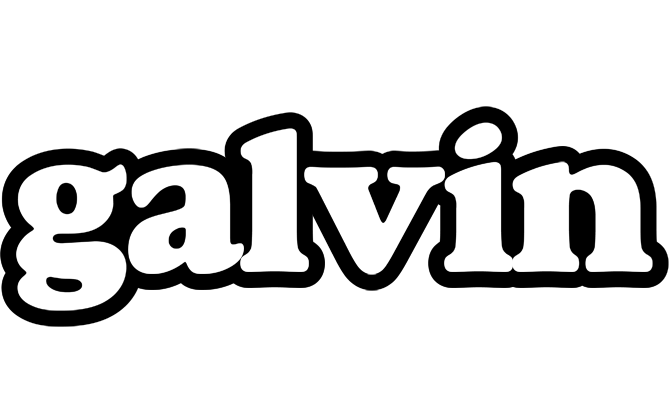 Galvin panda logo
