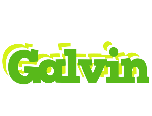 Galvin picnic logo