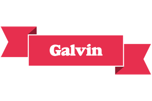 Galvin sale logo