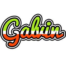 Galvin superfun logo