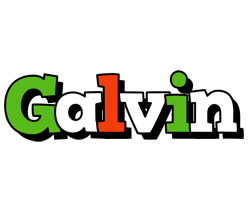 Galvin venezia logo