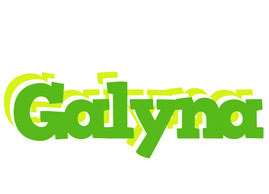 Galyna picnic logo