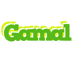 Gamal picnic logo