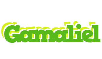 Gamaliel picnic logo