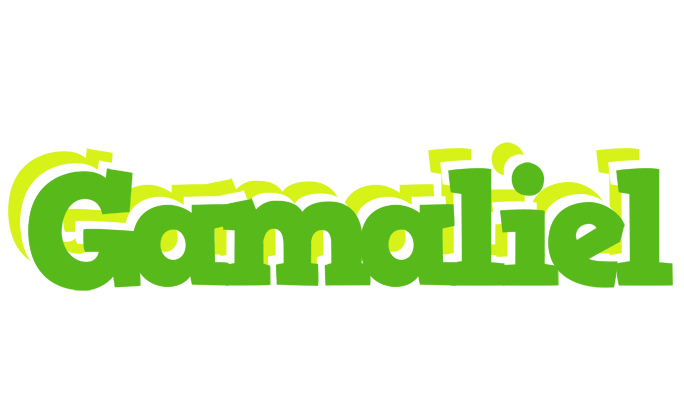 Gamaliel picnic logo