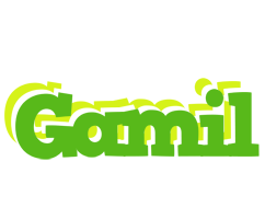 Gamil picnic logo