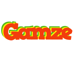 Gamze bbq logo