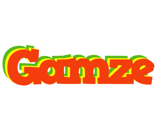 Gamze bbq logo