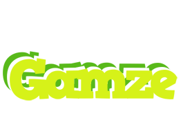 Gamze citrus logo