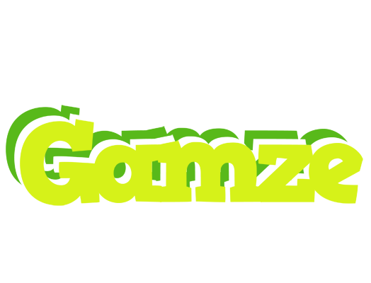 Gamze citrus logo