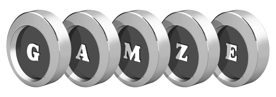 Gamze coins logo