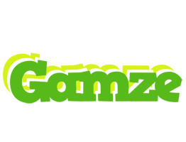 Gamze picnic logo