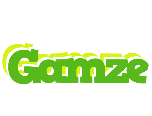 Gamze picnic logo