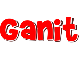 Ganit basket logo